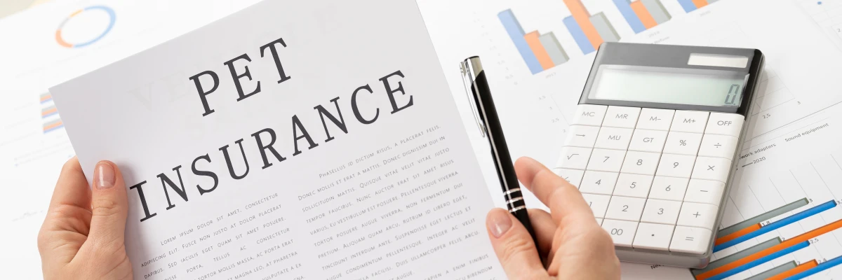 Les garanties obligatoires en matière d'assurance prêt immobilier : ce que vous devez savoir